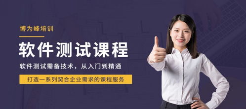南京軟件測試與開發培訓指南 機構選擇與行業展望